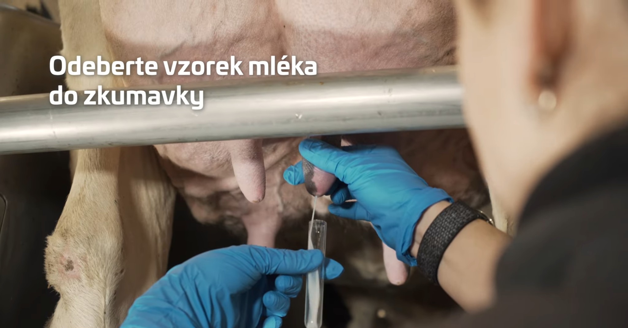 Dezinfikujte struk