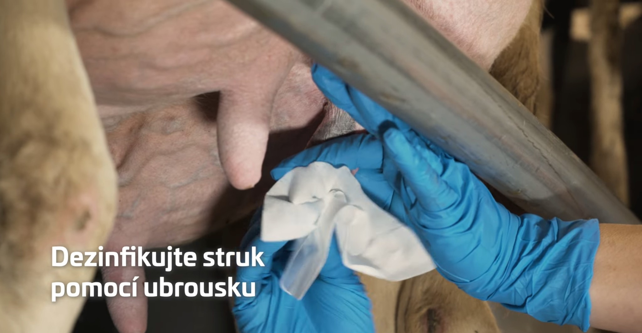 Dezinfikujte struk